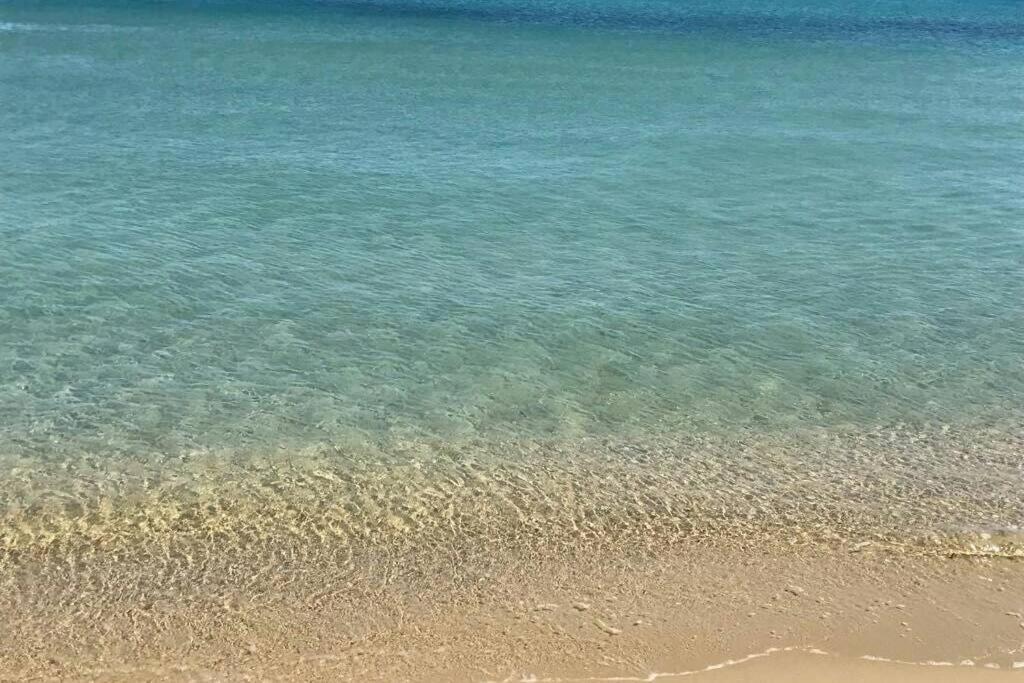 2 Bedrooms, 15 Min Walk To Beach, Ac, Pool & Fiber Internet In A Quiet, Private Gated Domain 5Kms To St Tropez Cogolin Eksteriør billede